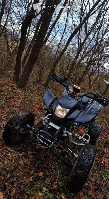 Vand atv bashan 250