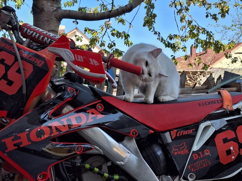 Vand Honda CRF 250R 2009 / Schimb