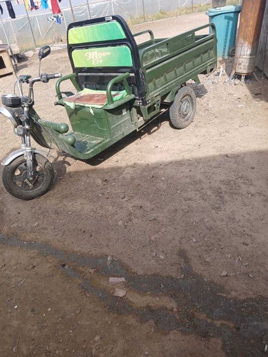 triciclu electric