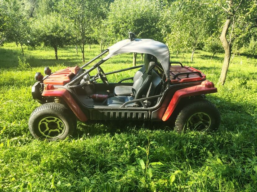 Vând Buggy/atv 450