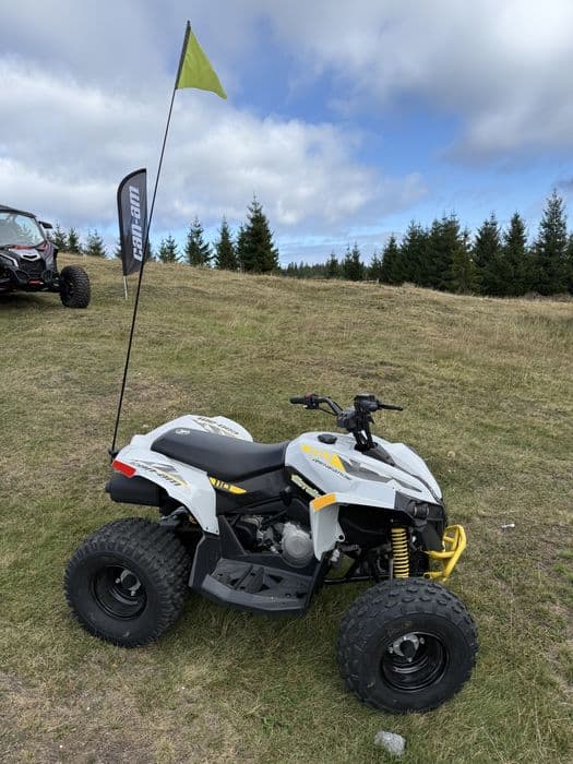 Atv copii Can Am Renegade 110