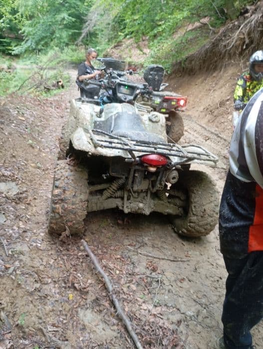 Suzuki  KINGQUAD 700