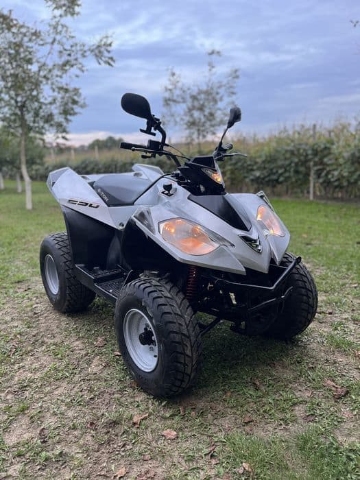Atv E Ton Vector 250cmc automat (nu kymco sym daelim linhai)