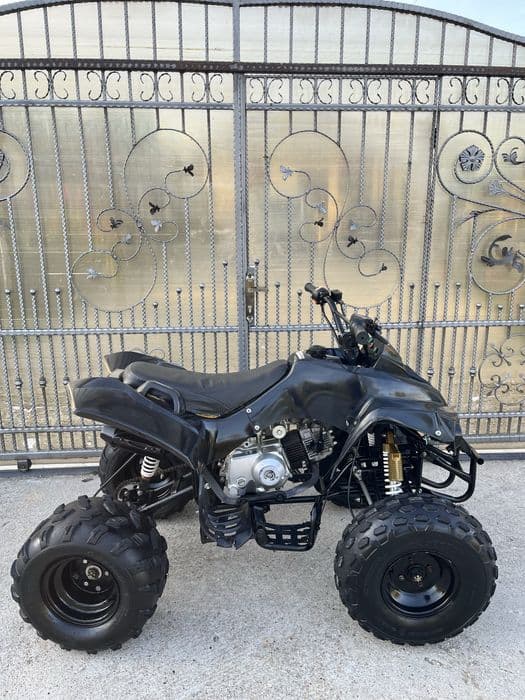 Atv 125 Renegade Pro Germany