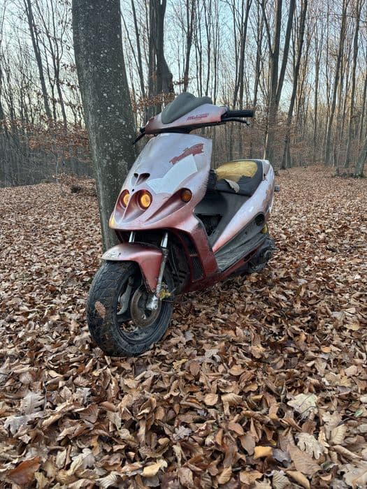 Malaguti f12 phantom