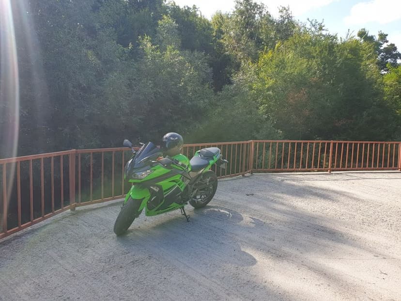 Kawasaki Ninja 300 ABS Special Edition