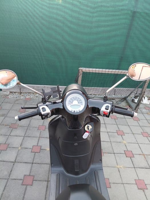 Scuter 50cm import Germania