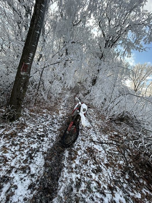 Gas gas  ec300 2010 inmatriculat