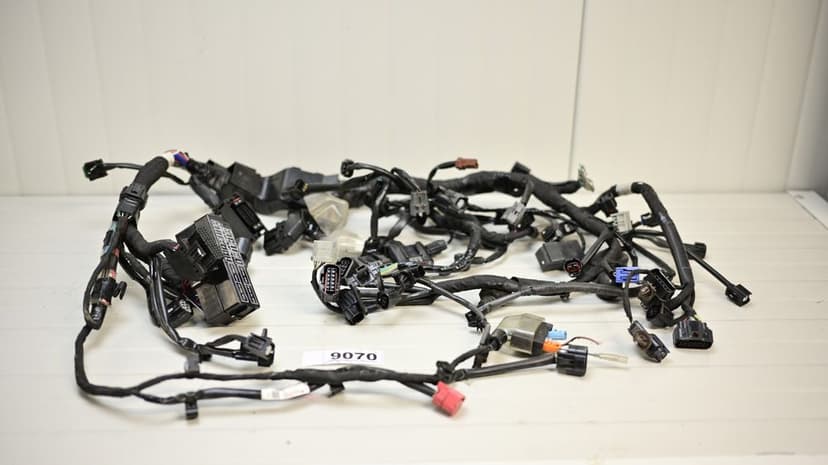 Honda CRF 1100 L Africa Twin 2020 - 2024 Instalatie electrica