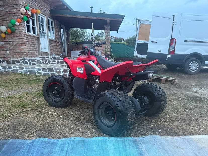 Atv Cf Moto 110 an 2025