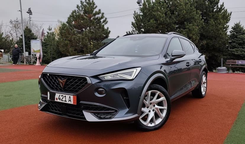 Cupra Formentor 2.0 D/4WD/4×4/Matrix/automată/euro6/camere/cockpit