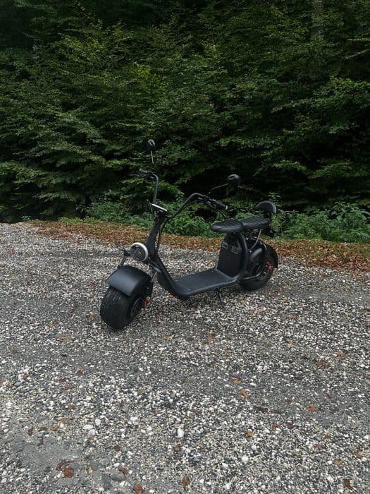 Scuter Harley Electric