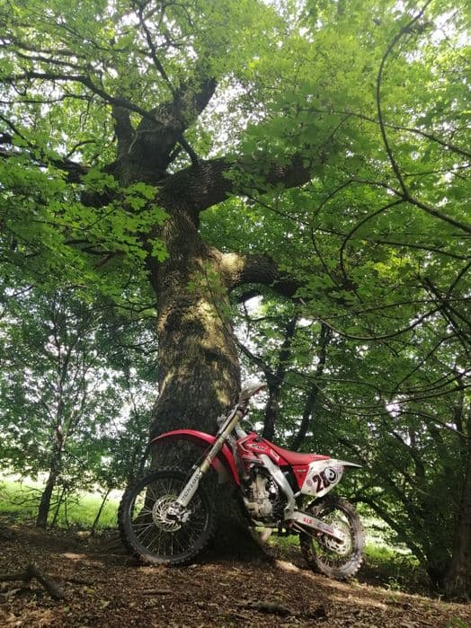 Motocross Honda CRF250 R 2005