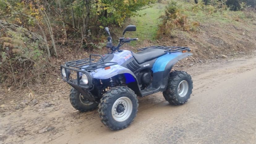 2 Linhai 300cc 2x4 recent aduse in țară