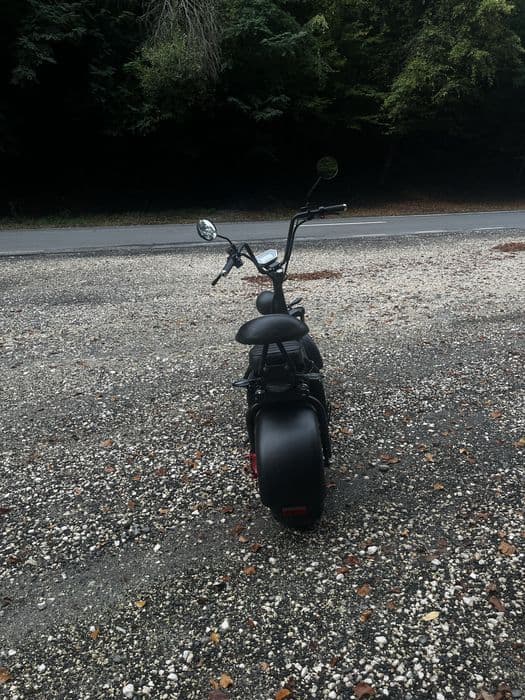 Scuter Harley Electric