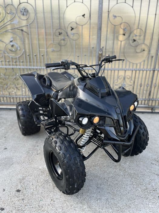 Atv 125 Renegade Pro Germany