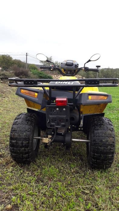 Vand atv DINLI 110cc