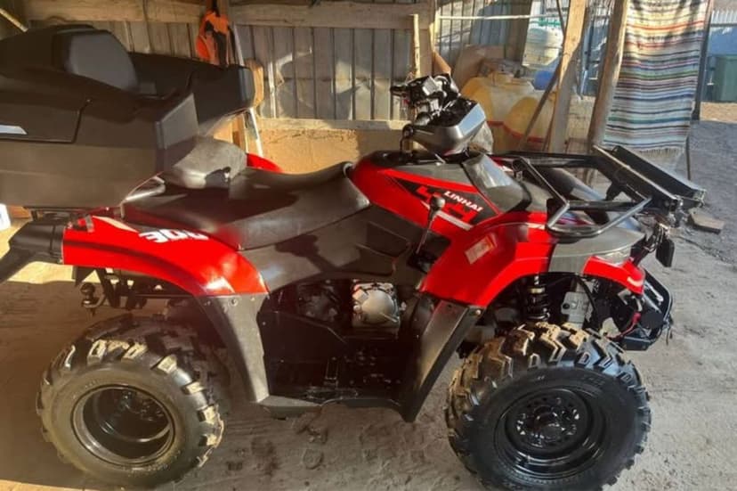 Linhai dragonfly 300 2021 injectie