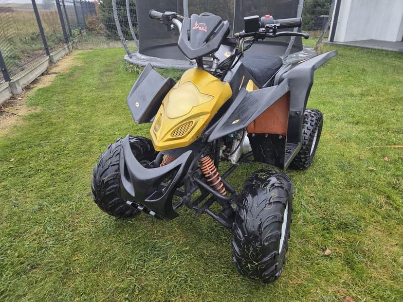 Quad 110ccm automat