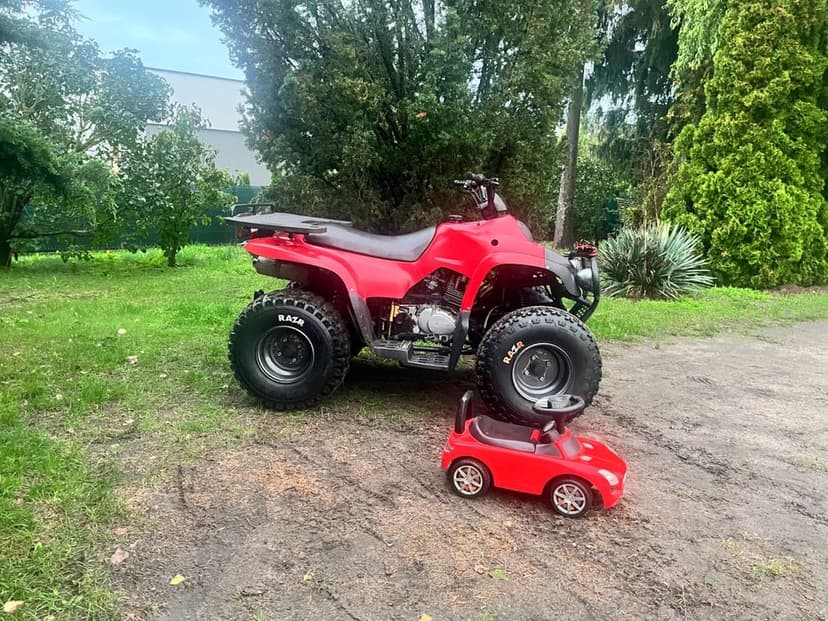 Duży Quad 250 manual ze wtecznym Największa Rama