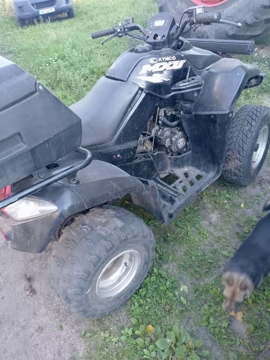 Quad cena za 2 szt plus skuter Peugeot