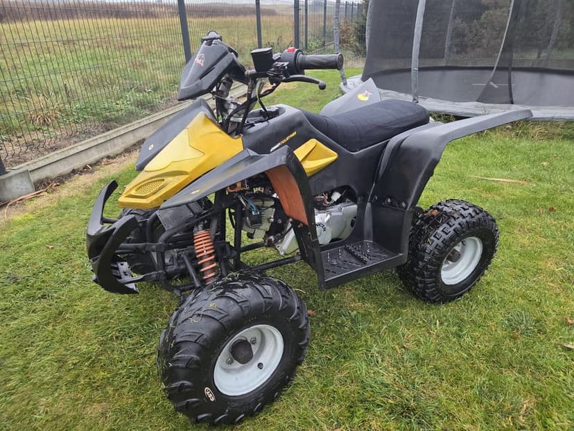 Quad 110ccm automat