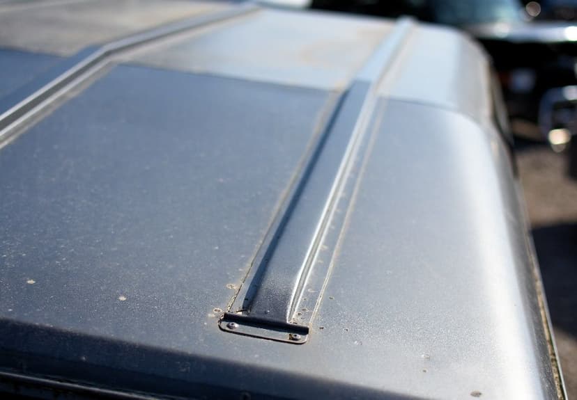 Dach Land Rover Defender 90-110 Puma