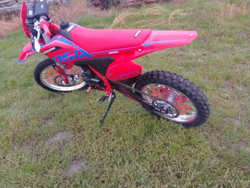 Asix Lizzard 300 cross