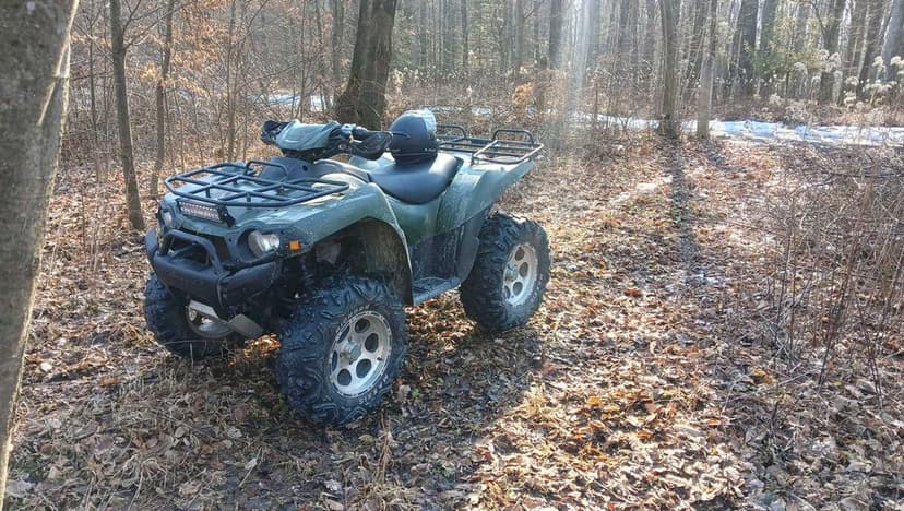 Kawasaki brute force 750