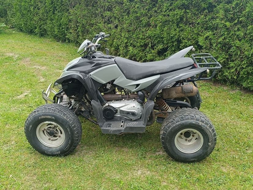 Quad aeon cobra 300