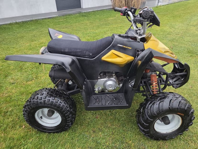 Quad 110ccm automat