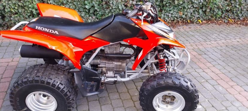 Quad Honda trx 250 2x4 2008r z Niemiec