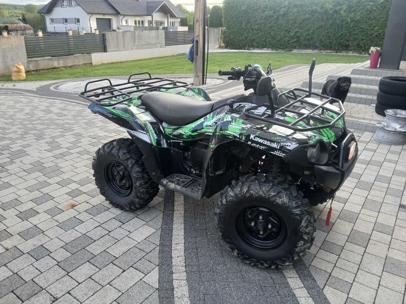 Kawasaki brute force 750