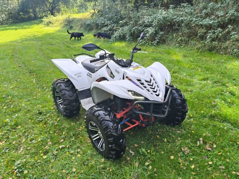 Yamaha Wolverine 450