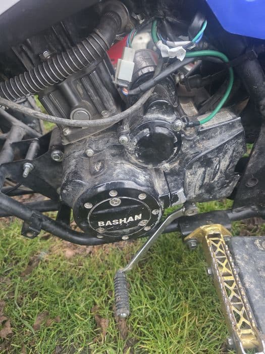 Quad bashan 250 as-43