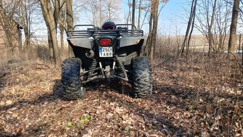 Kawasaki brute force 750