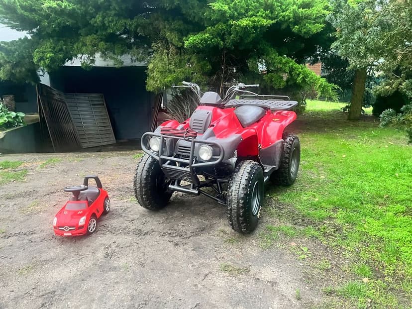 Duży Quad 250 manual ze wtecznym Największa Rama