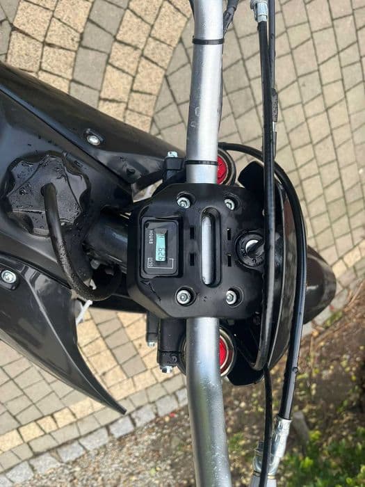 Cross Asix Lizzard 250