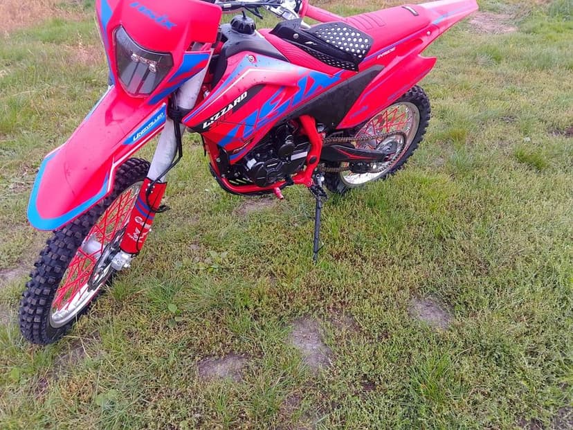 Asix Lizzard 300 cross