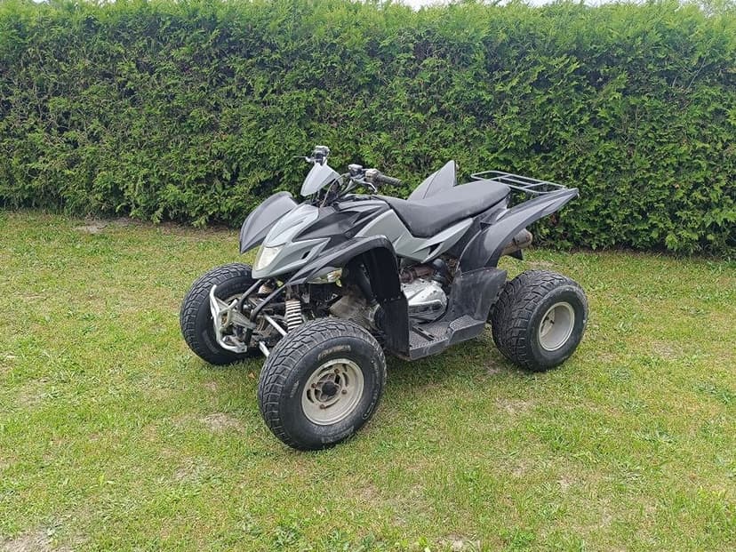 Quad aeon cobra 300