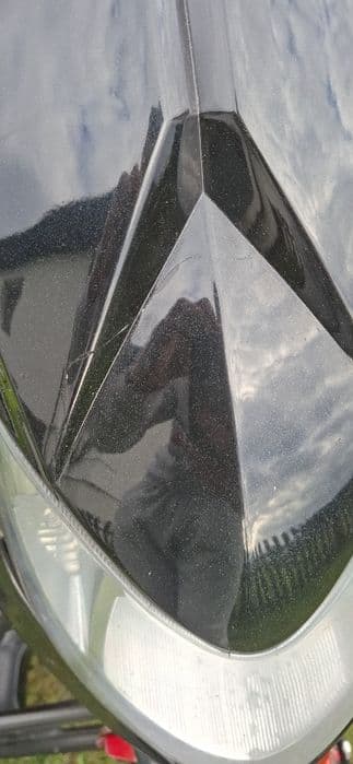 Lucky Star 300 trition