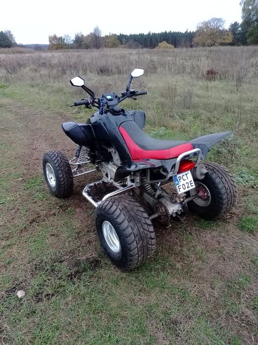 Quad Dinli 450 zarejestrowany