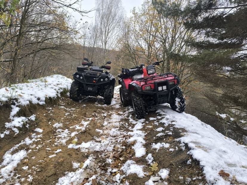 Honda trx 500 RUBICON