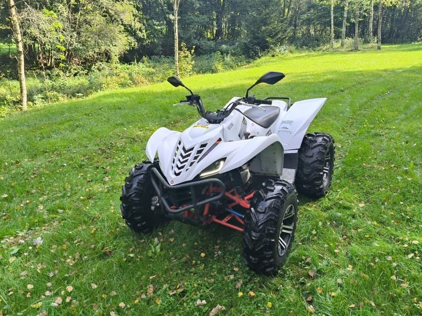 Yamaha Wolverine 450