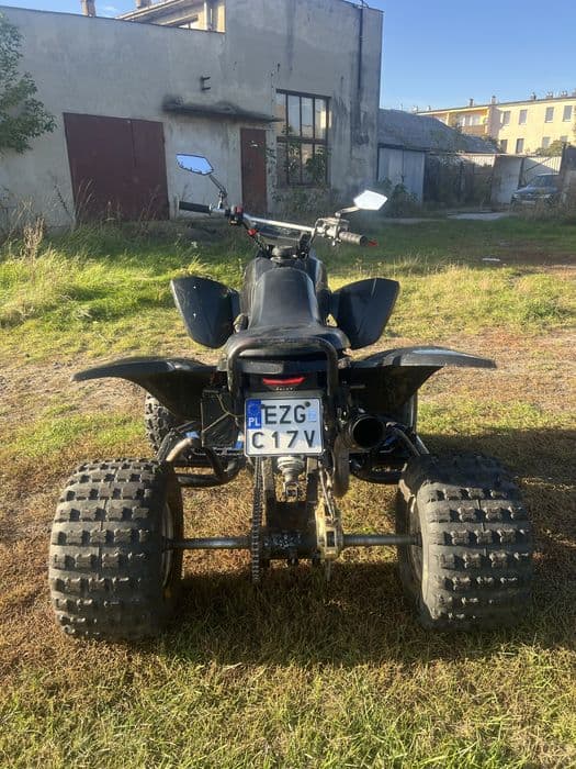 Dinli A450 swap Z650