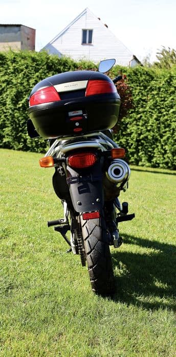 Suzuki FreeWind xf 650 piękny