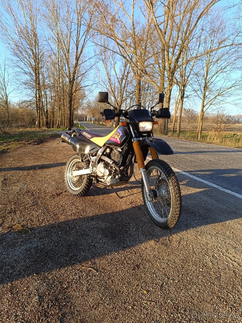 Suzuki DR 650 SE