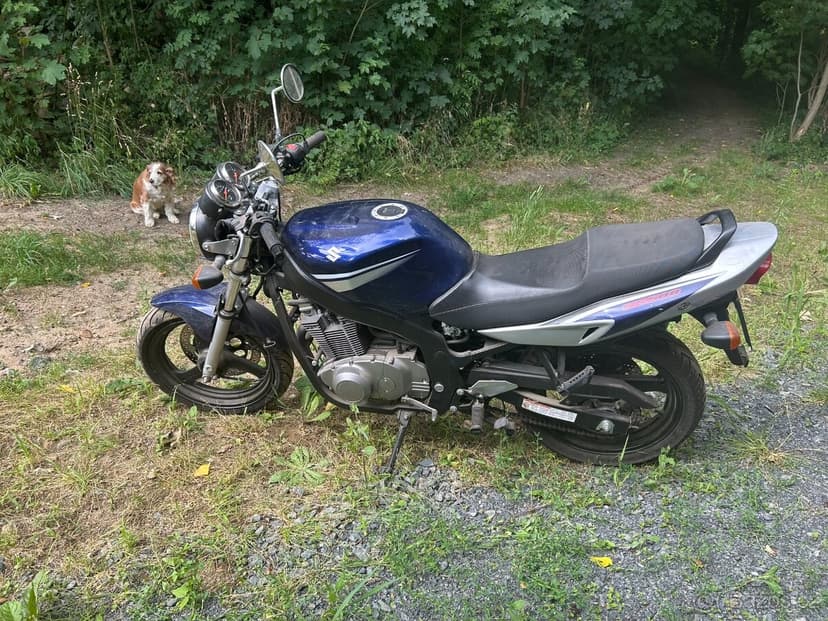 Suzuki GS 500U