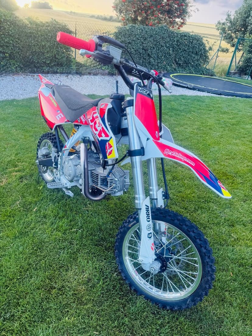 Pitbike YCF Pílot SF 155