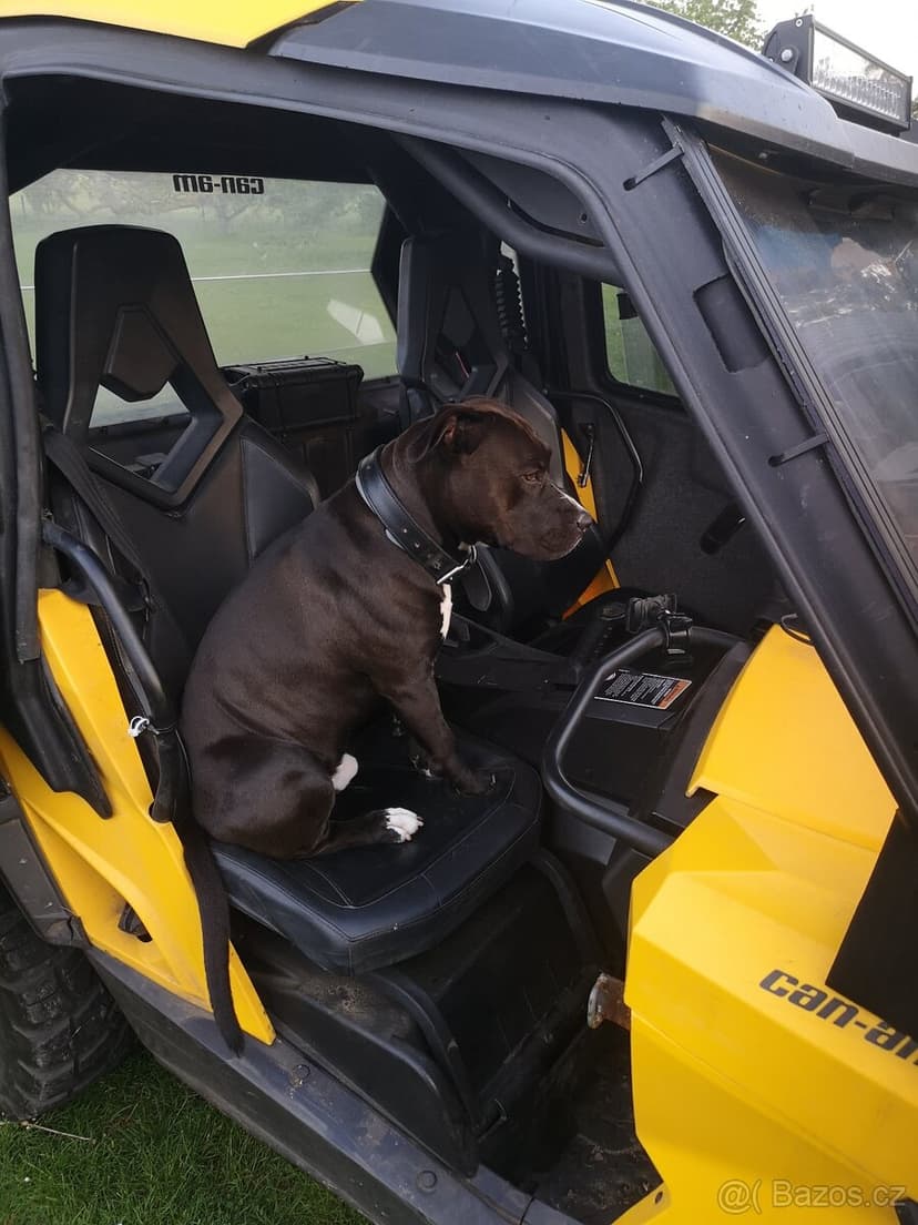 CAN-AM Commander 1010 XT